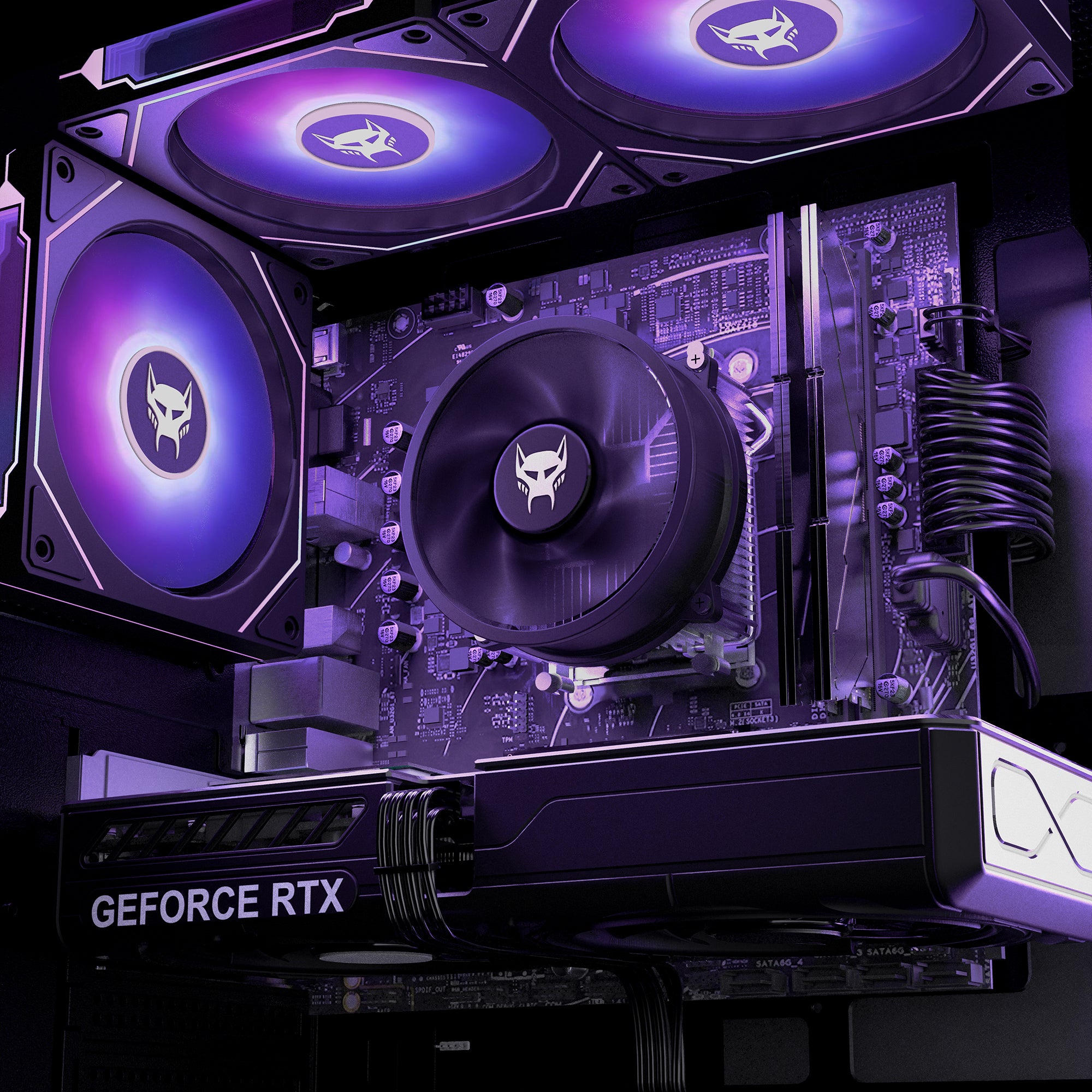 Q5 | Pro Gaming